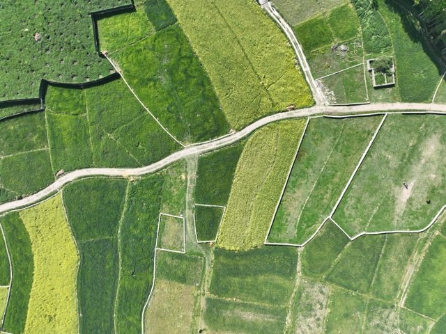 Aerial view of farmland