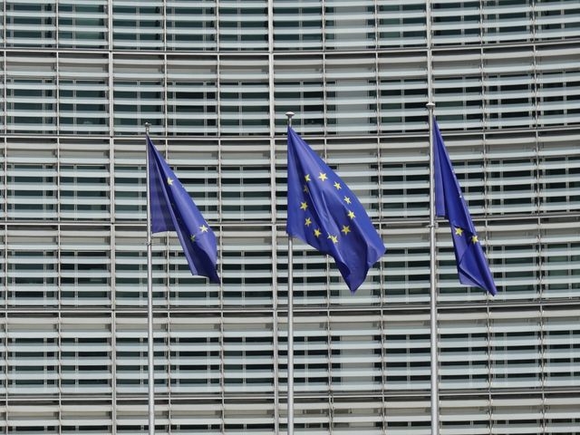 EU flags