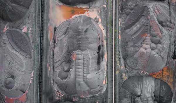 Eesti Teadusagentuur